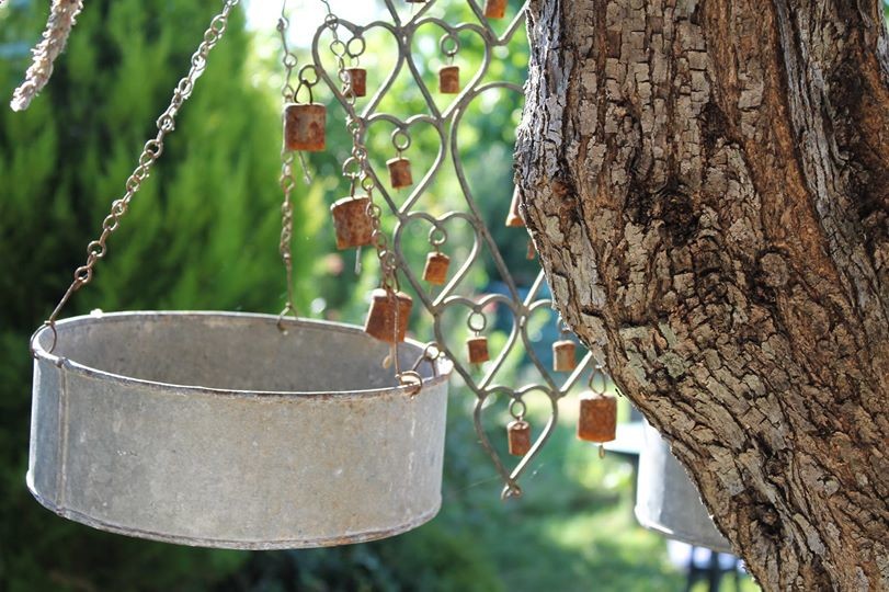 balança amarelos.jpg