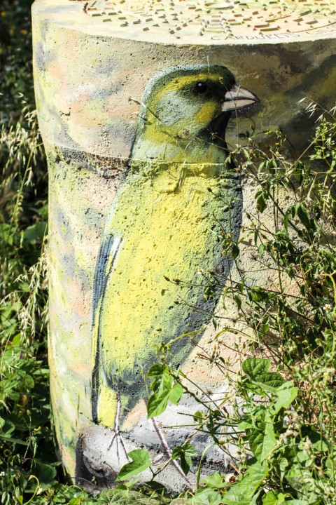 trilho das vinhas-69.jpg