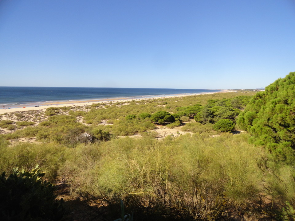 DSC02020.JPG DSC02020.JPG