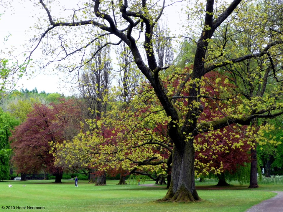 2010-05-13 Bad Driburg 093.JPG