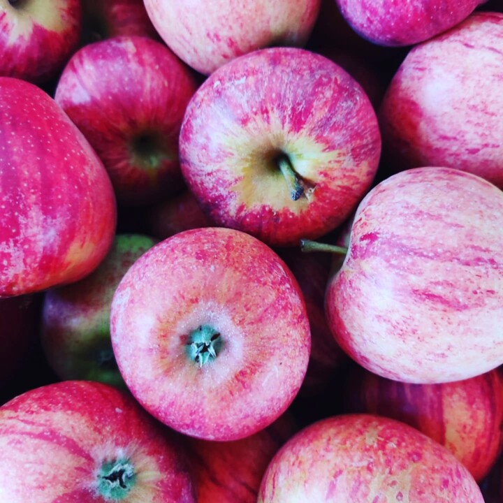 542294048_18497653384066958_4671509910678194332_n.