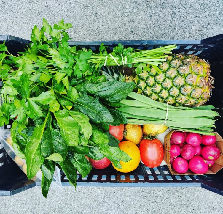 498591493_18478593907066958_8727901666103901848_n.