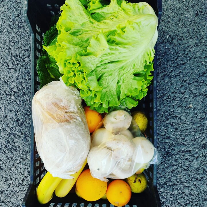 315068568_2465512276921852_530122097497572259_n.jp