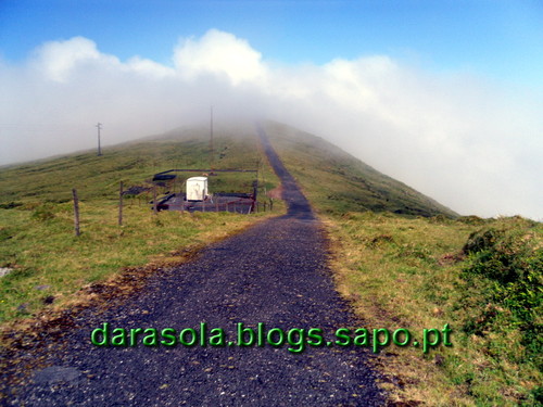 Azores_Faial_caldeirao_20.JPG