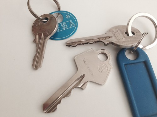 fotografia 1 (6).JPG