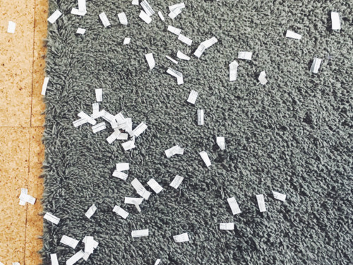 5E3093E0-8B2B-4ACE-8003-E2C1769216F8.jpg 5E3093E0-8B2B-4ACE-8003-E2C1769216F8.jpg