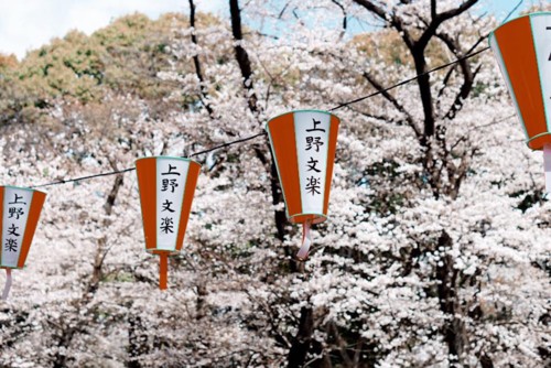 29572591_10216094708630557_4658564606922007938_n.j