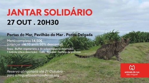 42058297_2014315171948008_1165494342761054208_n.jp