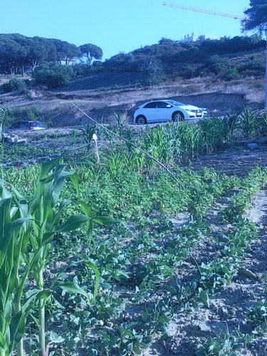 Foto original de D.A.P.L. Junho 2015.jpg