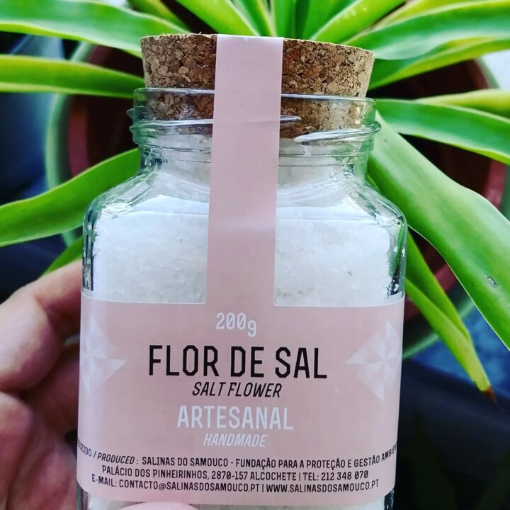 290752821_2347041368768944_4669276606599411453_n.j