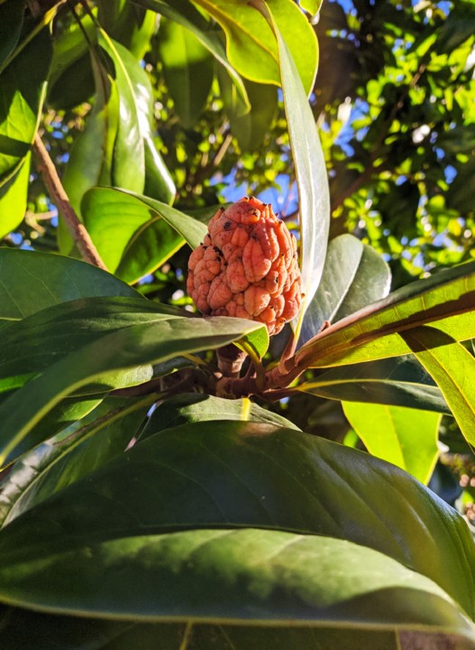 IMG_20201225_234024.jpg IMG_20201225_234024.jpg