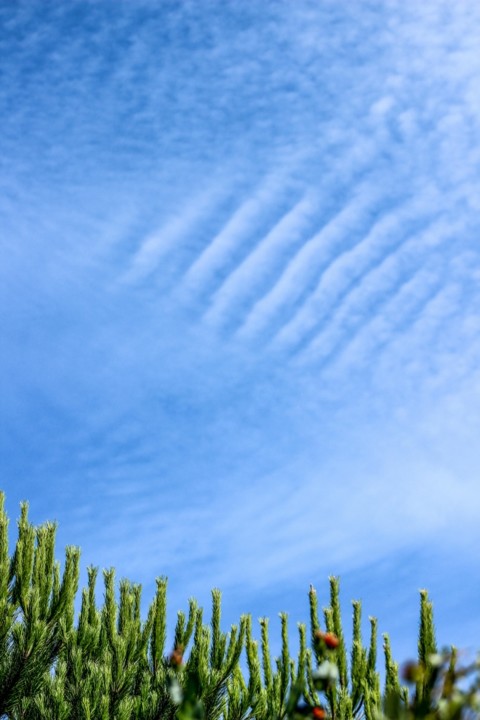 azul 5 (683x1024).jpg azul 5 (683x1024).jpg