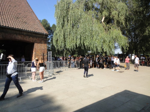 DSC03917.JPG DSC03917.JPG