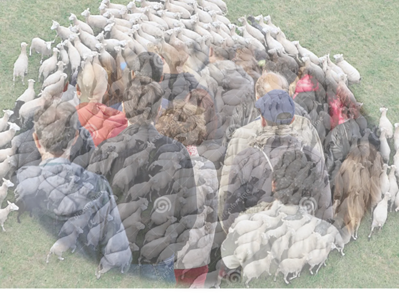 Rebanho do ocidente.png