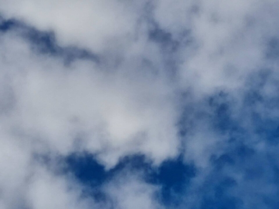 306726024_1430131994166130_7724484386249994225_n.j