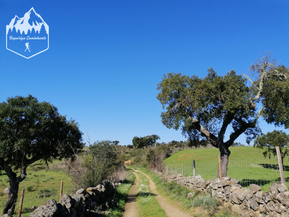 Photo_1583863974751.jpg Photo_1583863974751.jpg