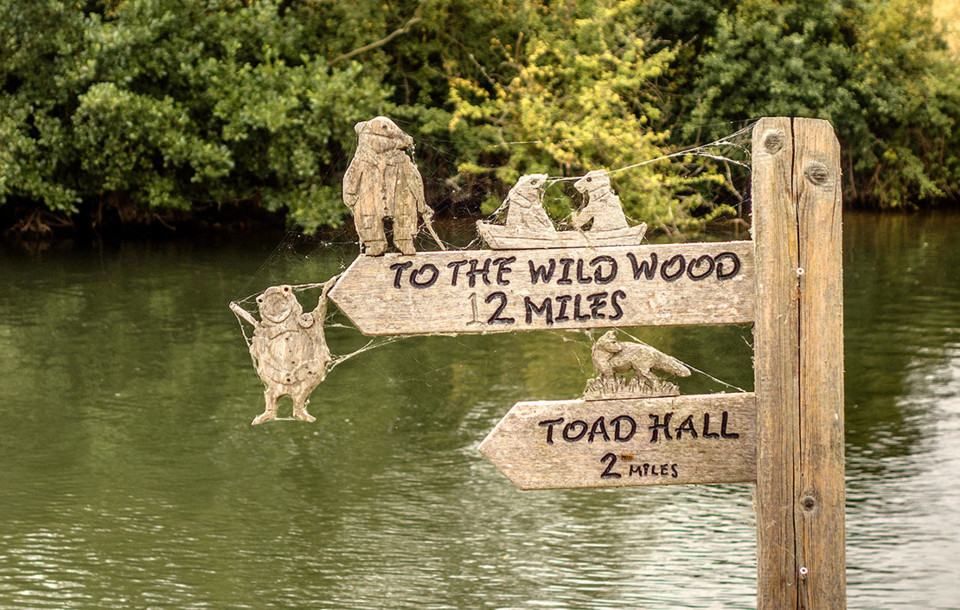 livro-O-Vento-nos-Salgueiros-maio2022-ingl-local.j