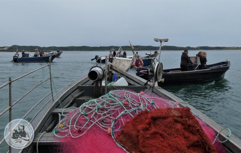 193306919_4256819127714457_4242821171684095739_n.j