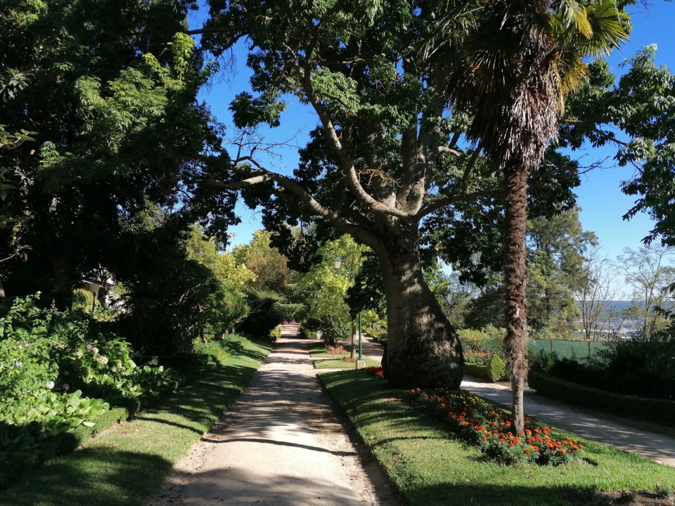 IMG_20200822_173832.jpg IMG_20200822_173832.jpg