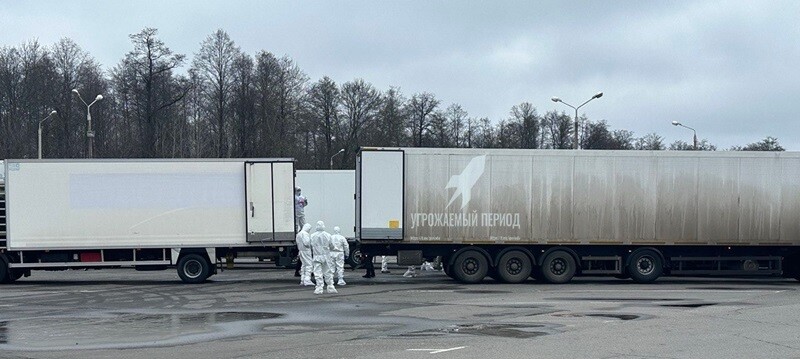 601918773_1299973338481864_8940790531047718658_n.j