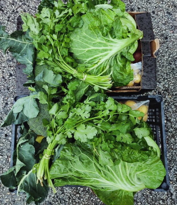 604578132_18518340337066958_4608329158652980446_n.