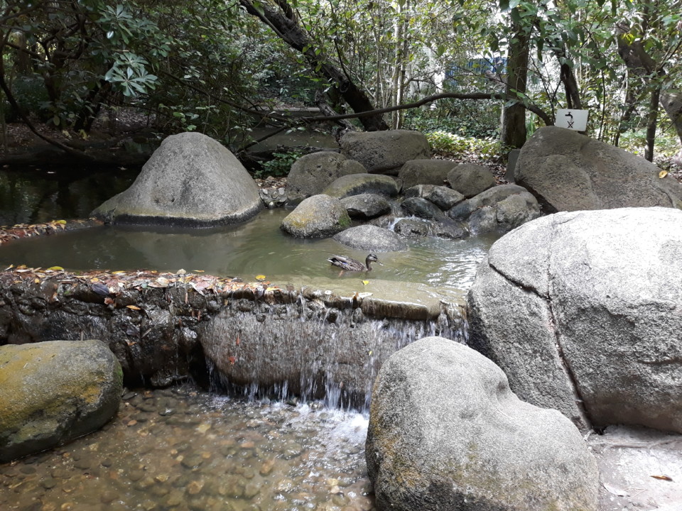 20180805_103016.jpg 20180805_103016.jpg