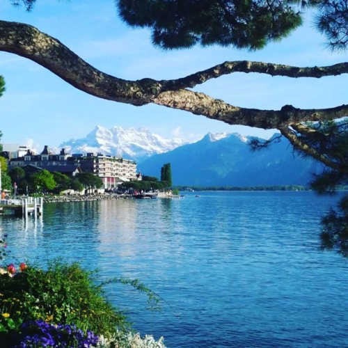 18527638_1447813851907043_3470530996937845810_n.jp