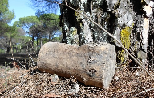 Foto 5.JPG Foto 5.JPG