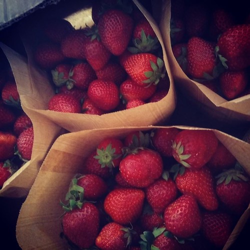 13226714_707168052756292_2769799574120589937_n.jpg 13226714_707168052756292_2769799574120589937_n.jpg