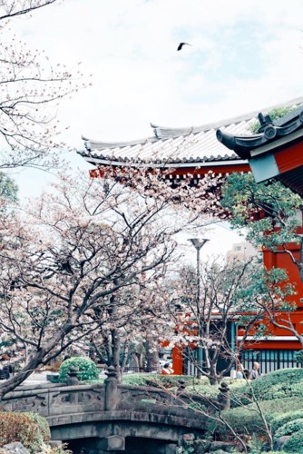 29571041_10216094706630507_7800189470361695142_n.j