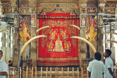 22195350_10214587713716626_1729494211004117150_n.j