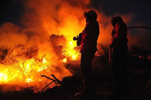 Chamas-de-incendio-com-bombeiros.jpg