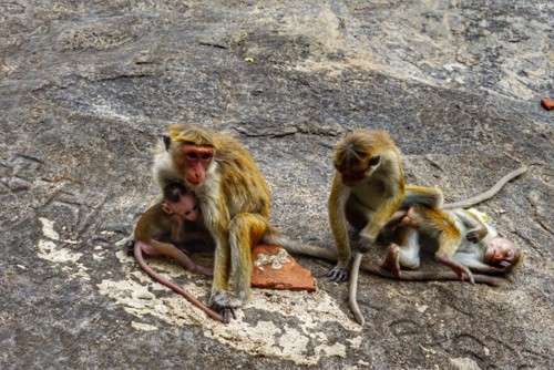 22045794_10214527925381955_6984215899935445960_n.j