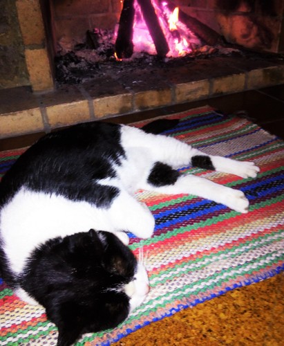 IMG_20160218_222531.jpg IMG_20160218_222531.jpg