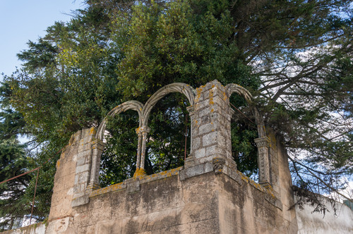 DSC00691.jpg DSC00691.jpg