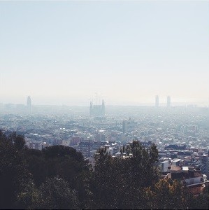 IMG_7410.JPG IMG_7410.JPG