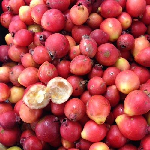 IMG_8439.JPG IMG_8439.JPG