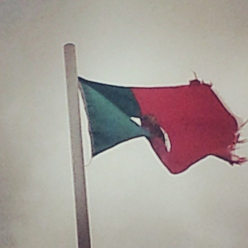 Bandeira.jpg Bandeira.jpg