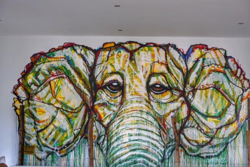 22089199_10214529342497382_800509503221337946_n.jp