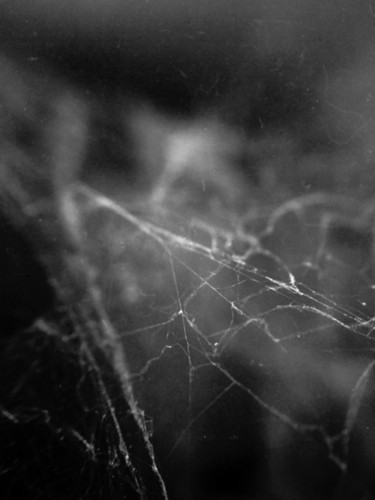 tumblr_ovb6fk3QQd1qhlo5zo1_500.jpg tumblr_ovb6fk3QQd1qhlo5zo1_500.jpg