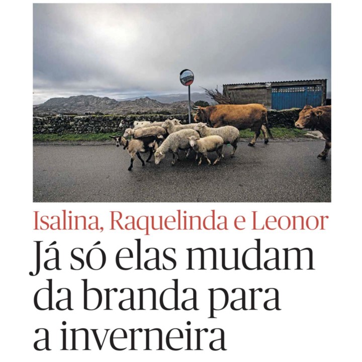 135264181_3904650859600886_6364045158517424088_o.j