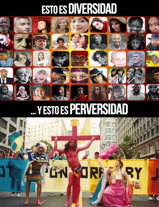 426569077_932144891918369_7367248245669625742_n.jp