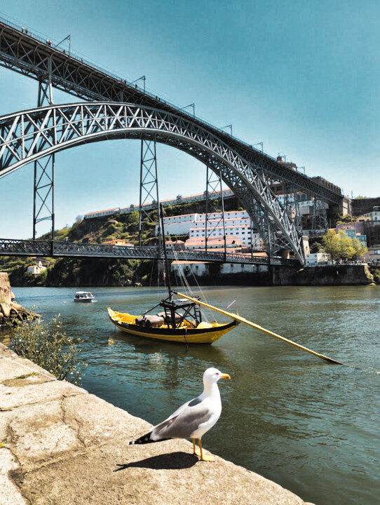 Porto Ribeira04 Ponte D. Luiz I b.jpg