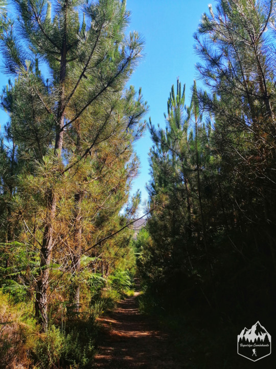 Photo_1598340695819.jpg Photo_1598340695819.jpg