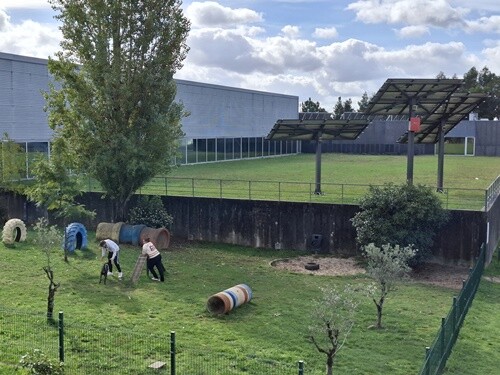 02b_Oliveira_de_Azeméis (37).jpg