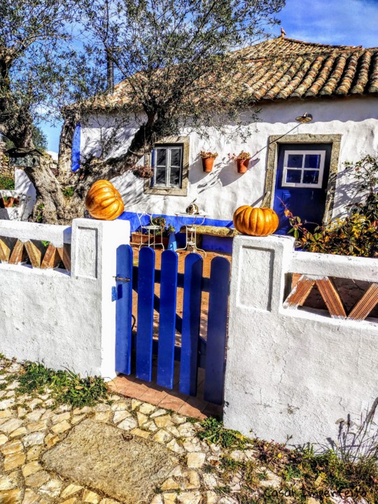 07_02_2022 21_00_50.jpg