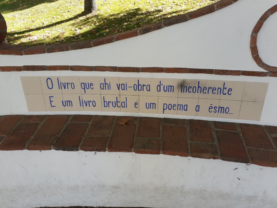 Excerto poético I. Foto original. 2021.10.15.jpg
