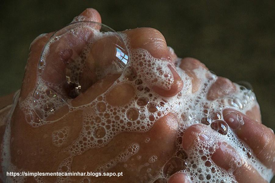 Simplesmente-Caminhar-017.jpg Simplesmente-Caminhar-017.jpg