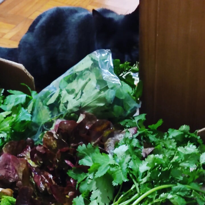 404373755_730968112393935_2218596713063952787_n.jp