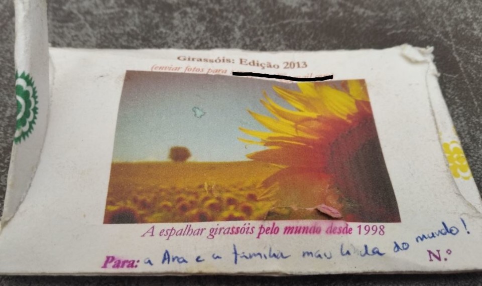 não_me_canso_disto_girassol.JPG não_me_canso_disto_girassol.JPG